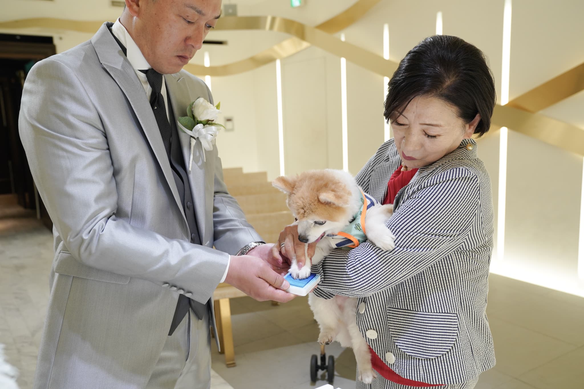 わんちゃんと一緒におひろめフォトを♪